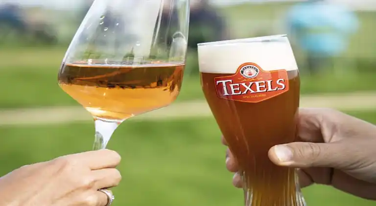 Apartment in De Cocksdorp