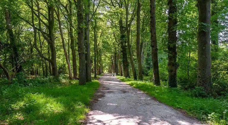Vakantiehuis in Zeewolde
