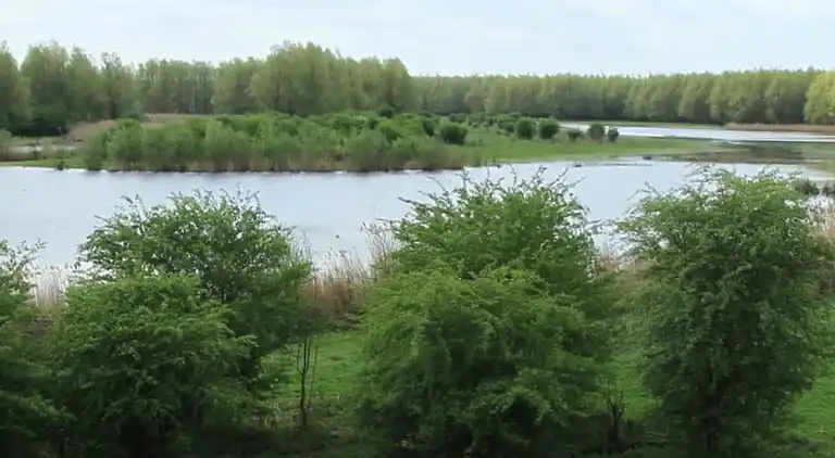 Vakantiehuis in Zeewolde