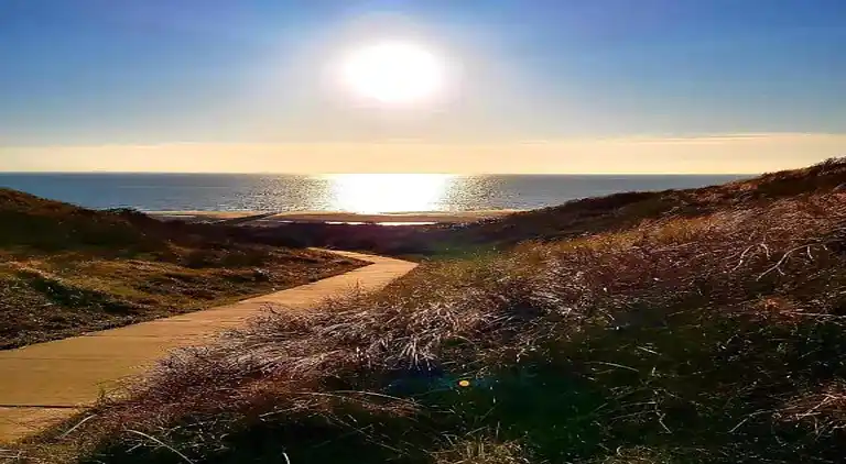 Sommerhus i Koudekerke