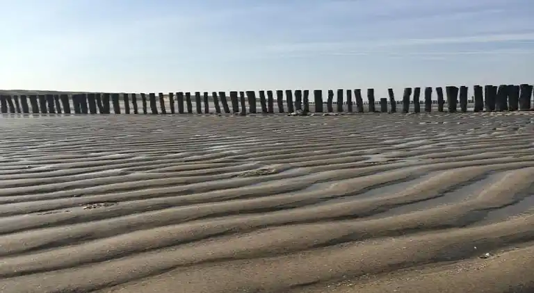 Ferielejlighed i Koudekerke