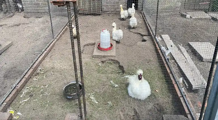 Holiday home in Bergen op Zoom