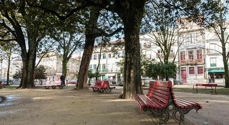 Apartment in Ribeira