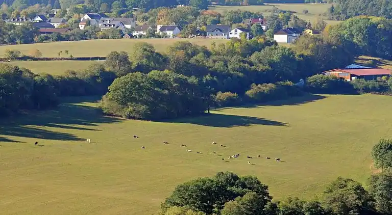 Sommerhus i Ferienhausgebiet Hillenseifen