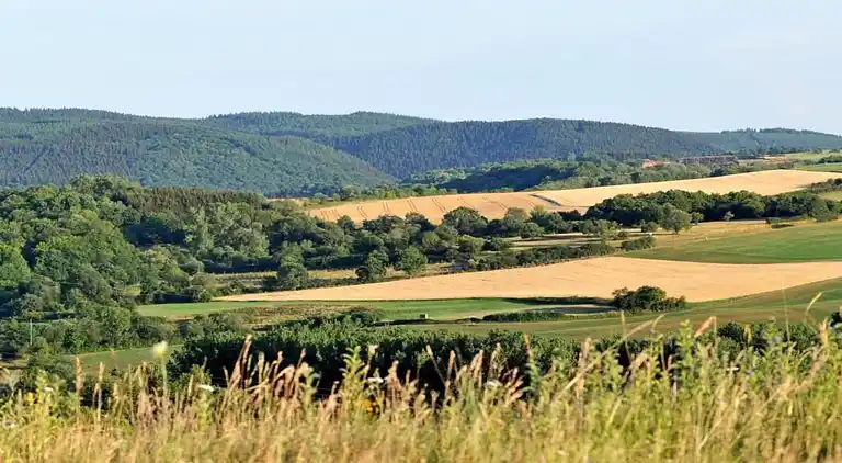 Hytte i Ferienhausgebiet Hillenseifen