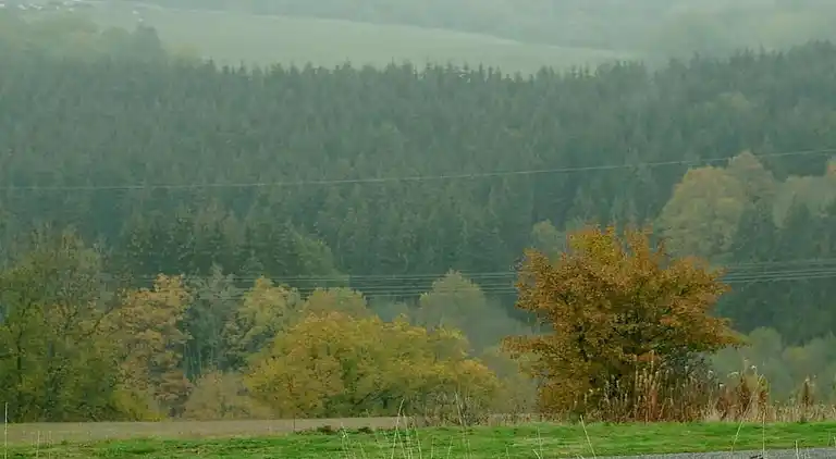 Hytte i Ferienhausgebiet Hillenseifen