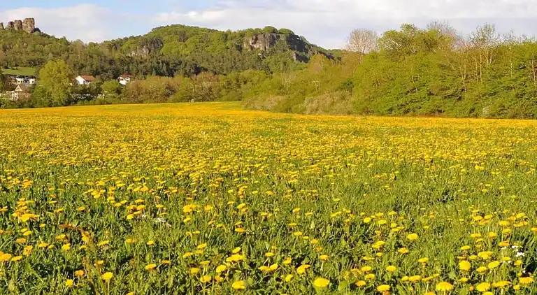 Sommerhus i Ferienhausgebiet Hillenseifen