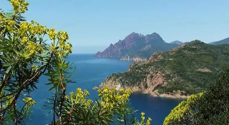 Holiday home in Cargèse