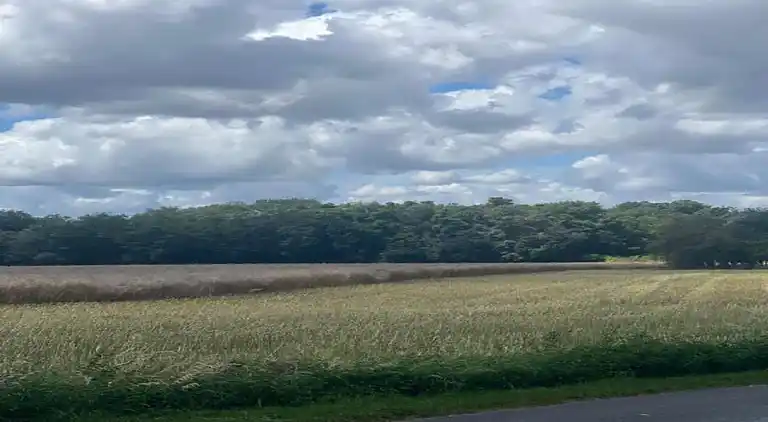 Holiday home in Adon