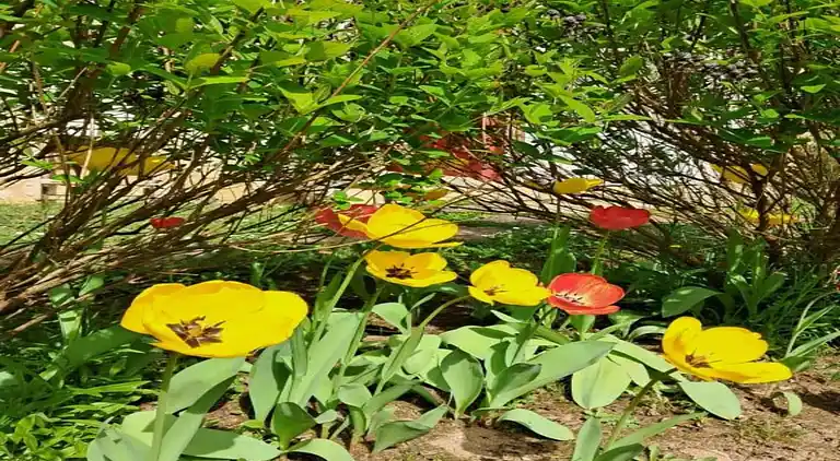 Feriebolig i Yèvre-le-Châtel