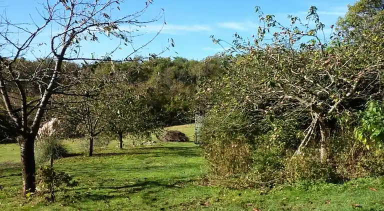 Holiday home in Montcuq