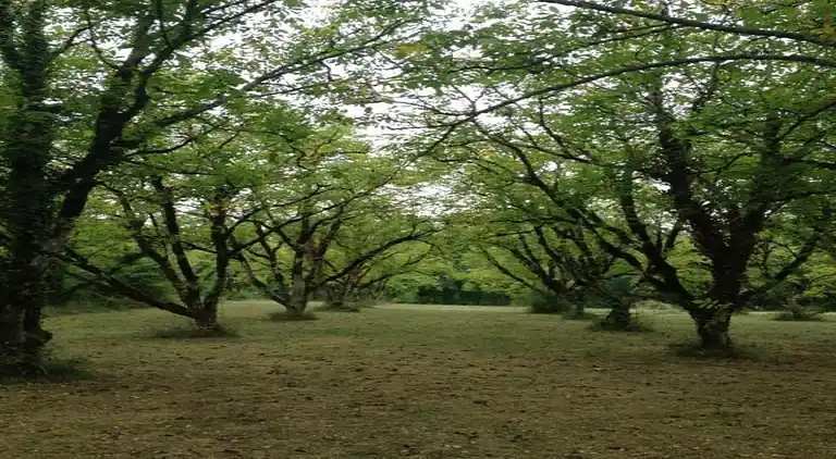 Holiday home in Guilberville