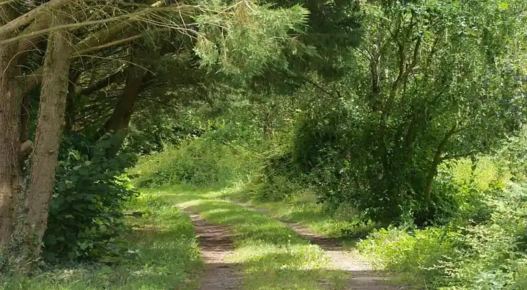 Holiday home in Downtown