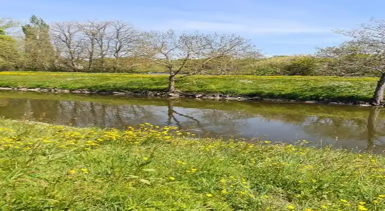 Holiday home in Downtown