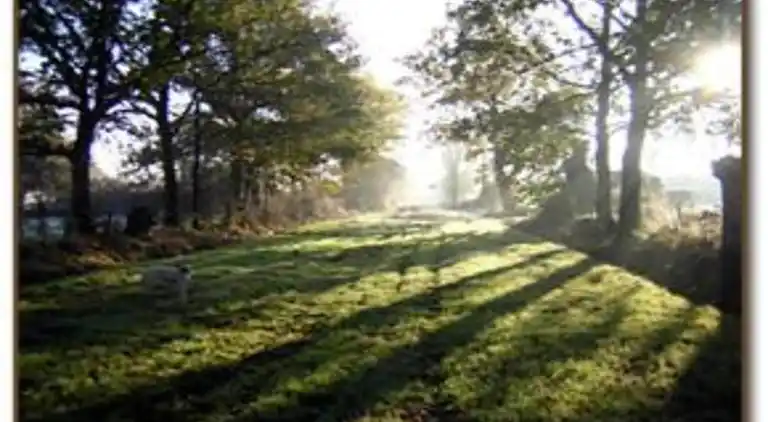 Holiday home in Downtown