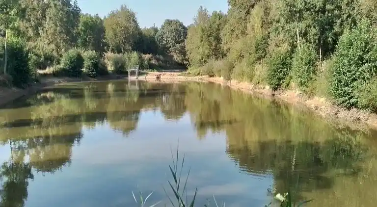 Holiday home in Downtown