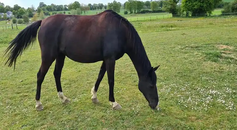 Holiday home in Downtown