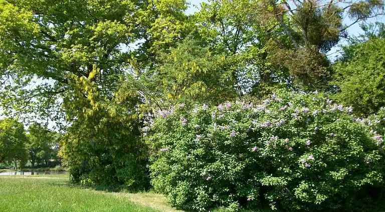 Holiday home in Downtown