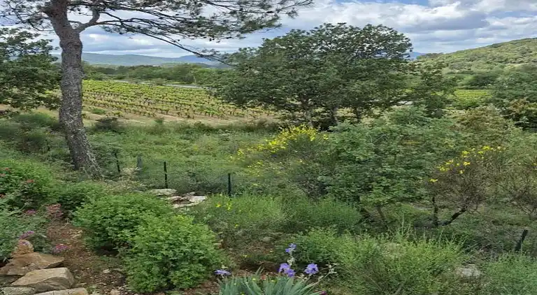 Holiday home in Carqueiranne