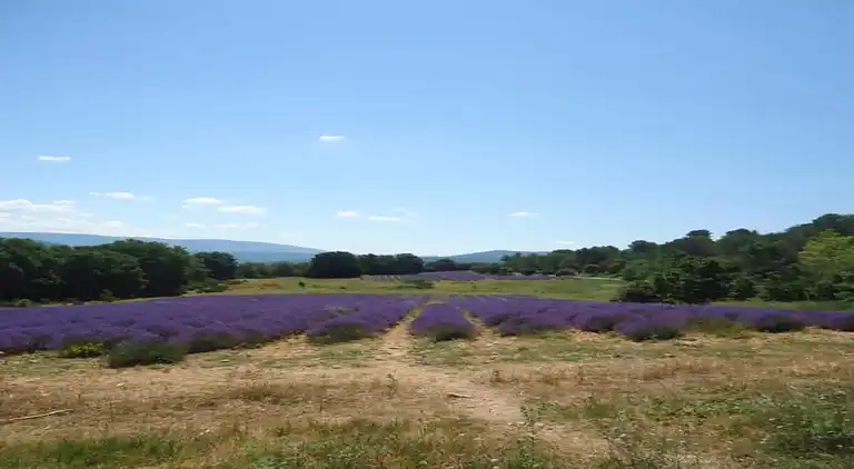 Holiday home in Le Thoronet