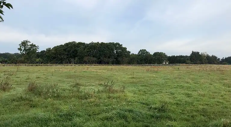 Ferie på eventyrlig naturgrund for børnefamilien