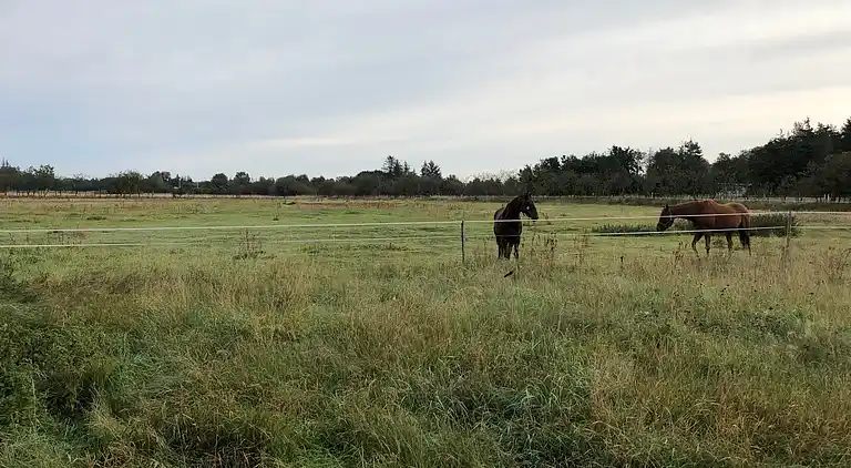 Ferie på eventyrlig naturgrund for børnefamilien