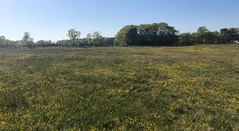 Ferie på eventyrlig naturgrund for børnefamilien