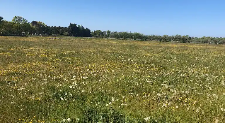 Ferie på eventyrlig naturgrund for børnefamilien