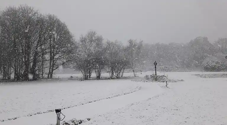 Holiday home in Baarle-Nassau