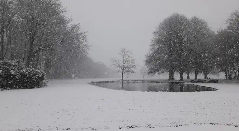 Cottage in Baarle-Nassau