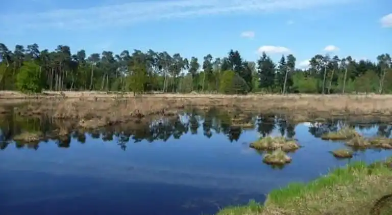 Holiday home in Baarle-Nassau