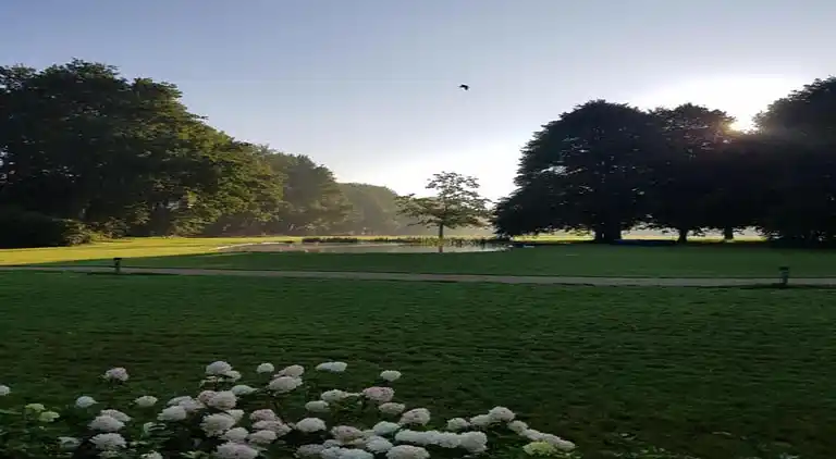Cottage in Baarle-Nassau