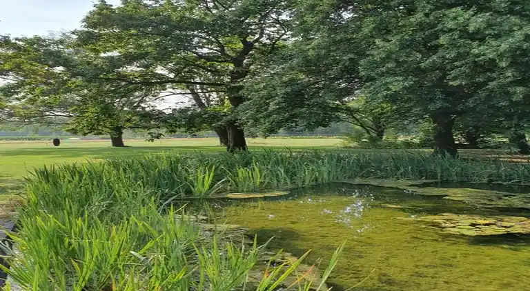 Holiday home in Baarle-Nassau