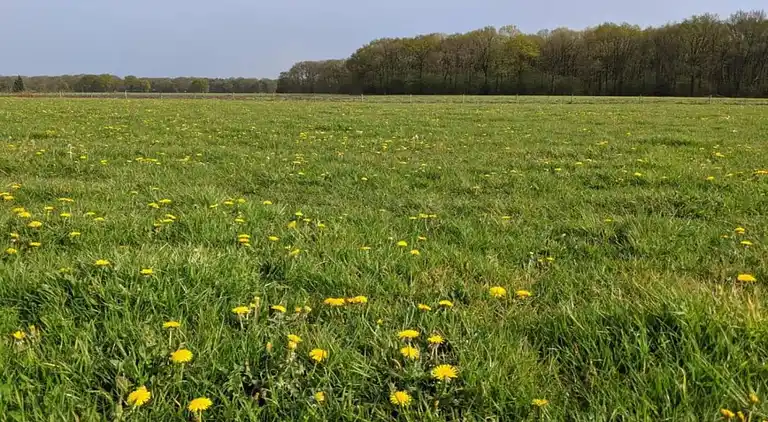 Holiday home in Baarle-Nassau