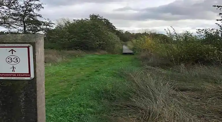 Cottage in Baarle-Nassau