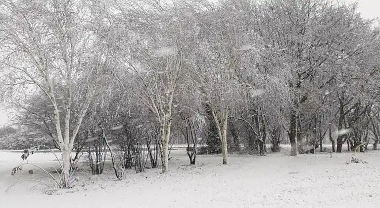 Holiday home in Baarle-Nassau