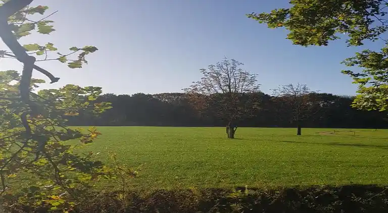 Cottage in Baarle-Nassau