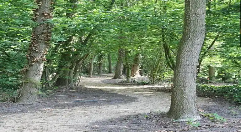 Holiday home in Baarle-Nassau