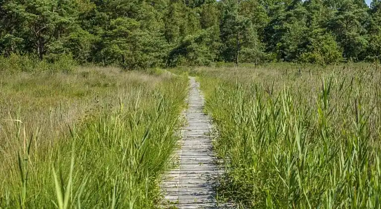 Cottage in Baarle-Nassau