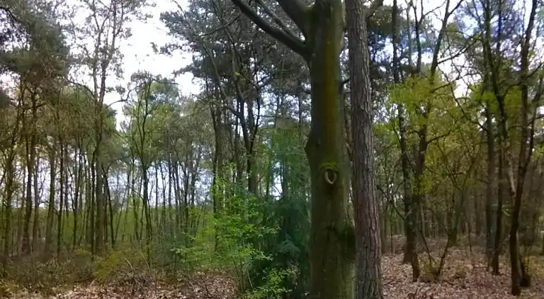 Holiday home in Baarle-Nassau