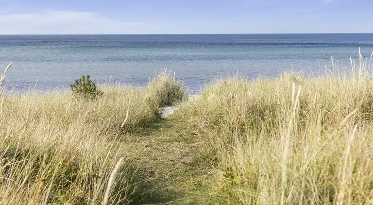 Det simple sommerhusliv i magisk beliggenhed