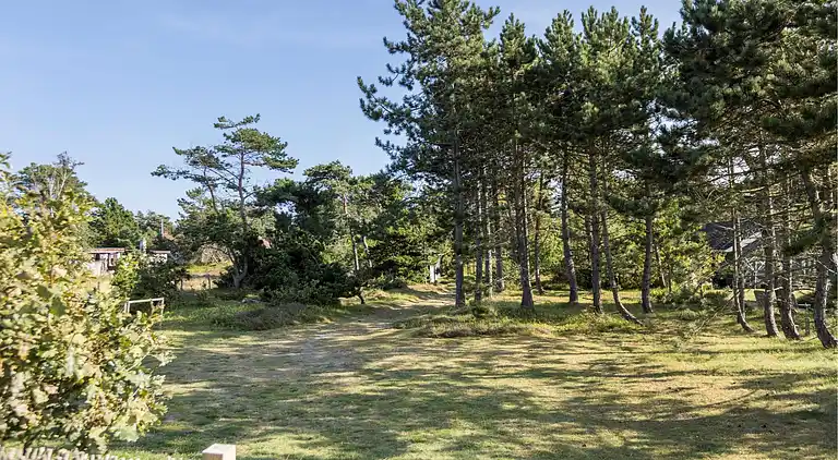 Det simple sommerhusliv i magisk beliggenhed