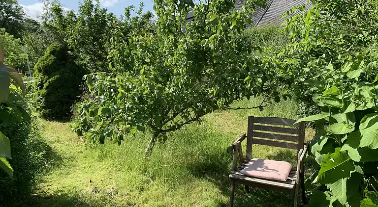 Dejligt hjem i nationalpark,  1 km til stranden