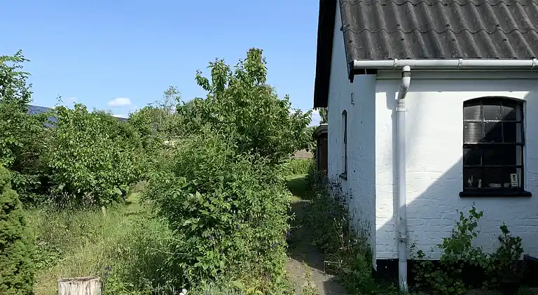 Dejligt hjem i nationalpark,  1 km til stranden