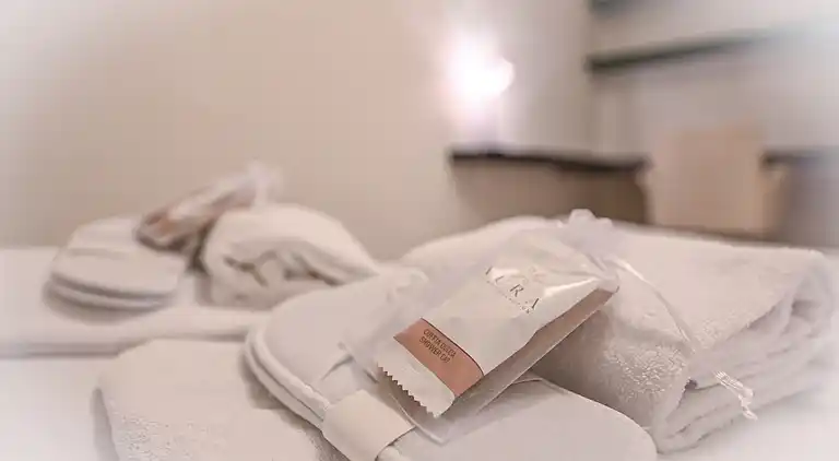 Luxurious Lugano Apartment with City Views