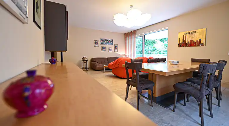 Luxurious Lugano Apartment with City Views