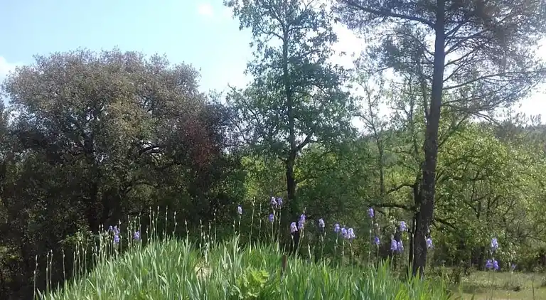 Villa in Languedoc-Roussillon