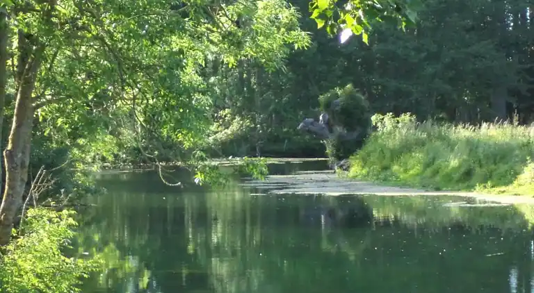 Sommerhus i Gerville