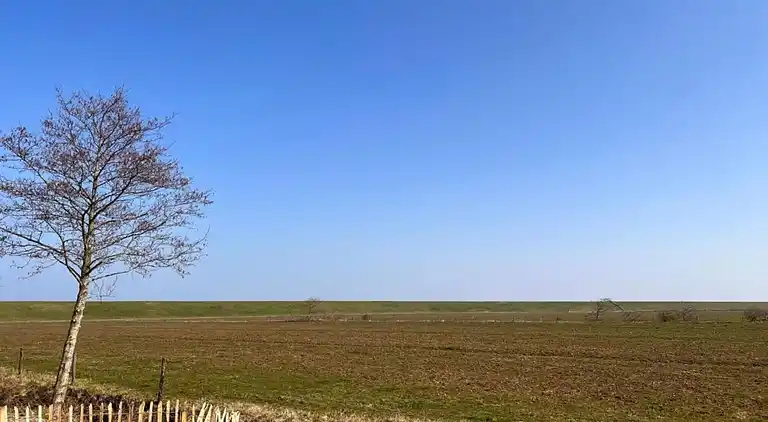 Villa in Hippolytushoef