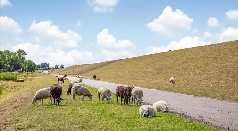 Villa in Hippolytushoef